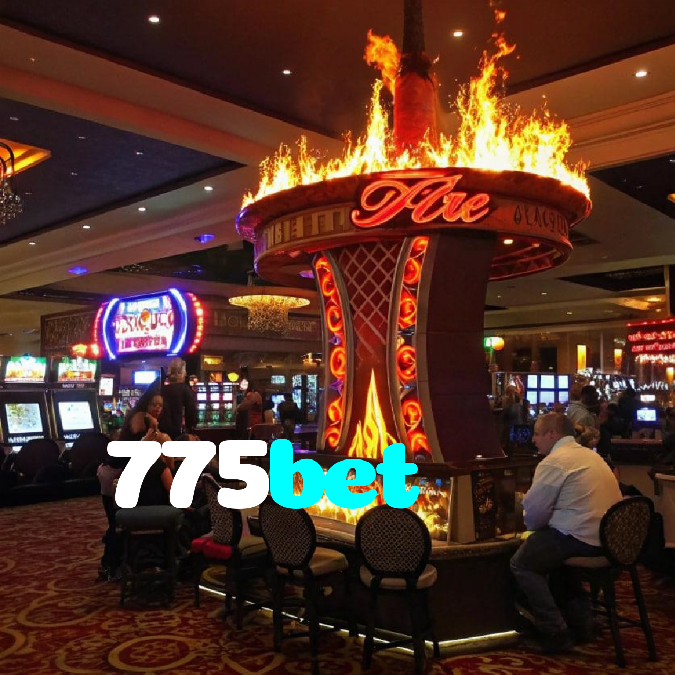 775bet