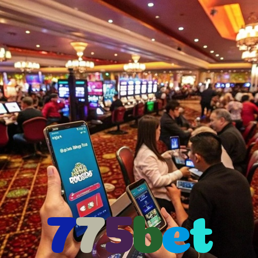 775bet